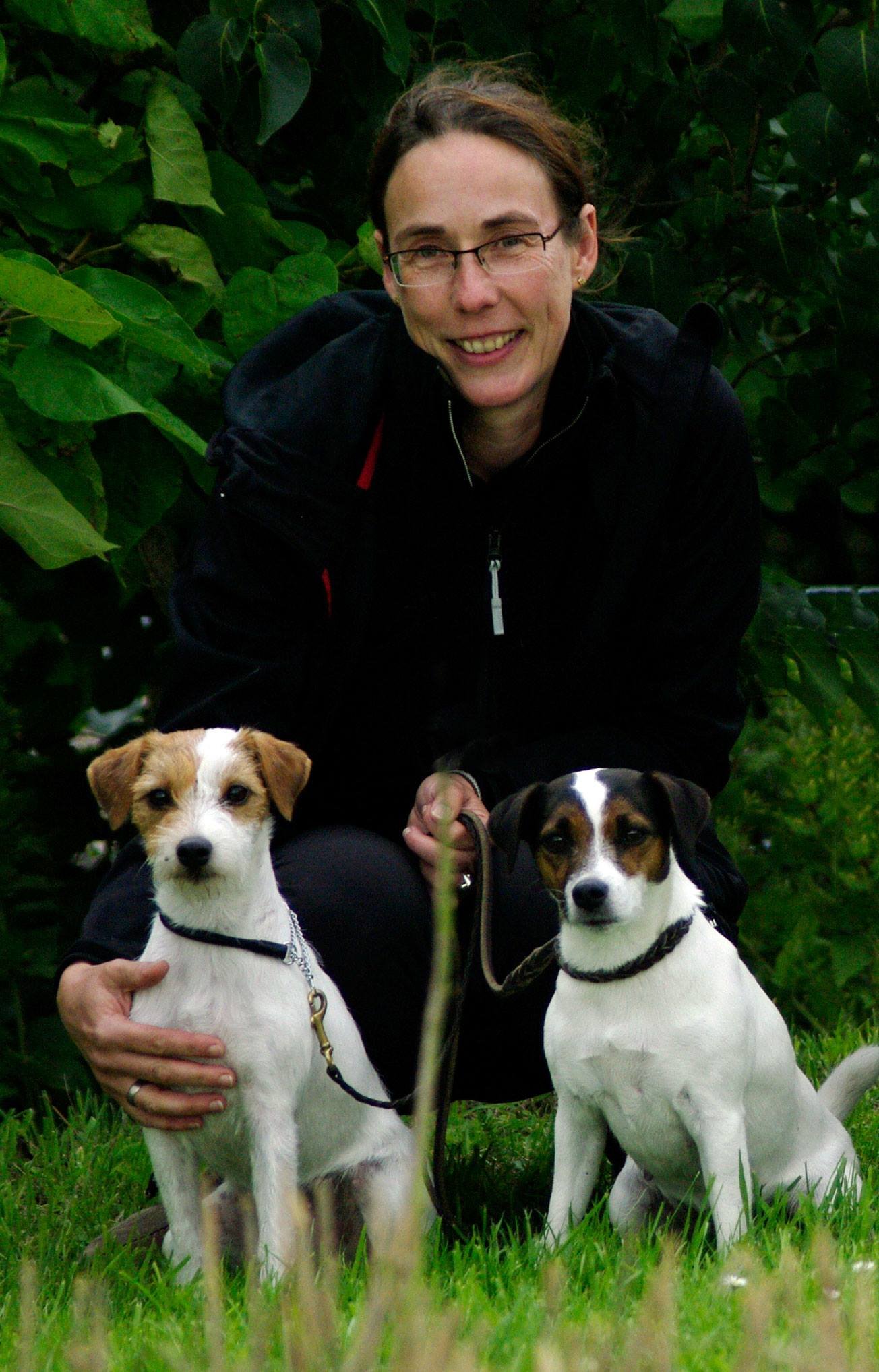 Frühe Jahre mit dem Parson Russell Terrier