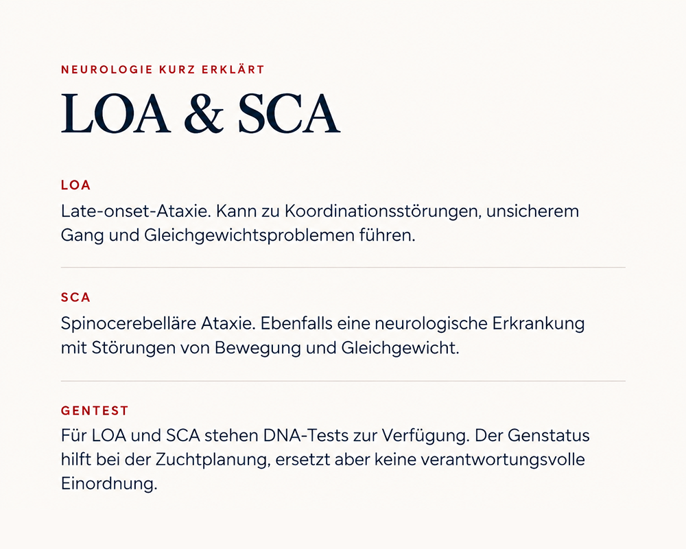 Ataxien - LOA und SCA erkennen und testen